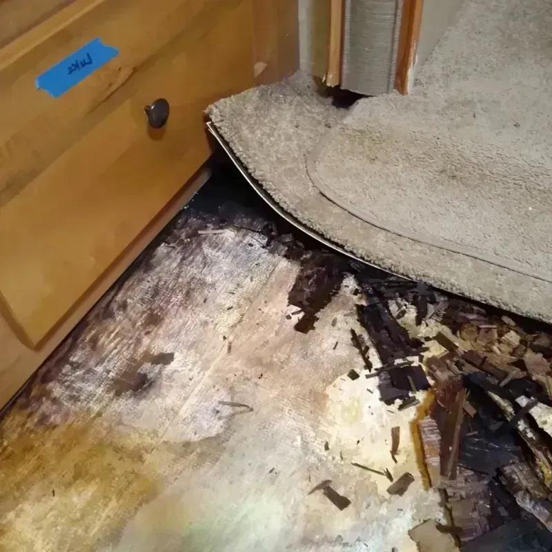 Wood Floor Water Damage in Fairview, TX